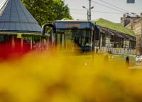 Līgo naktī Rīgā būs papildu sabiedriskā transporta reisi, svētku dienās braukšana bez maksas