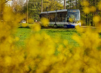 23. un 24. jūnijā Rīgas sabiedriskais transports būs bez maksas, tiks nodrošināti papildu reisi