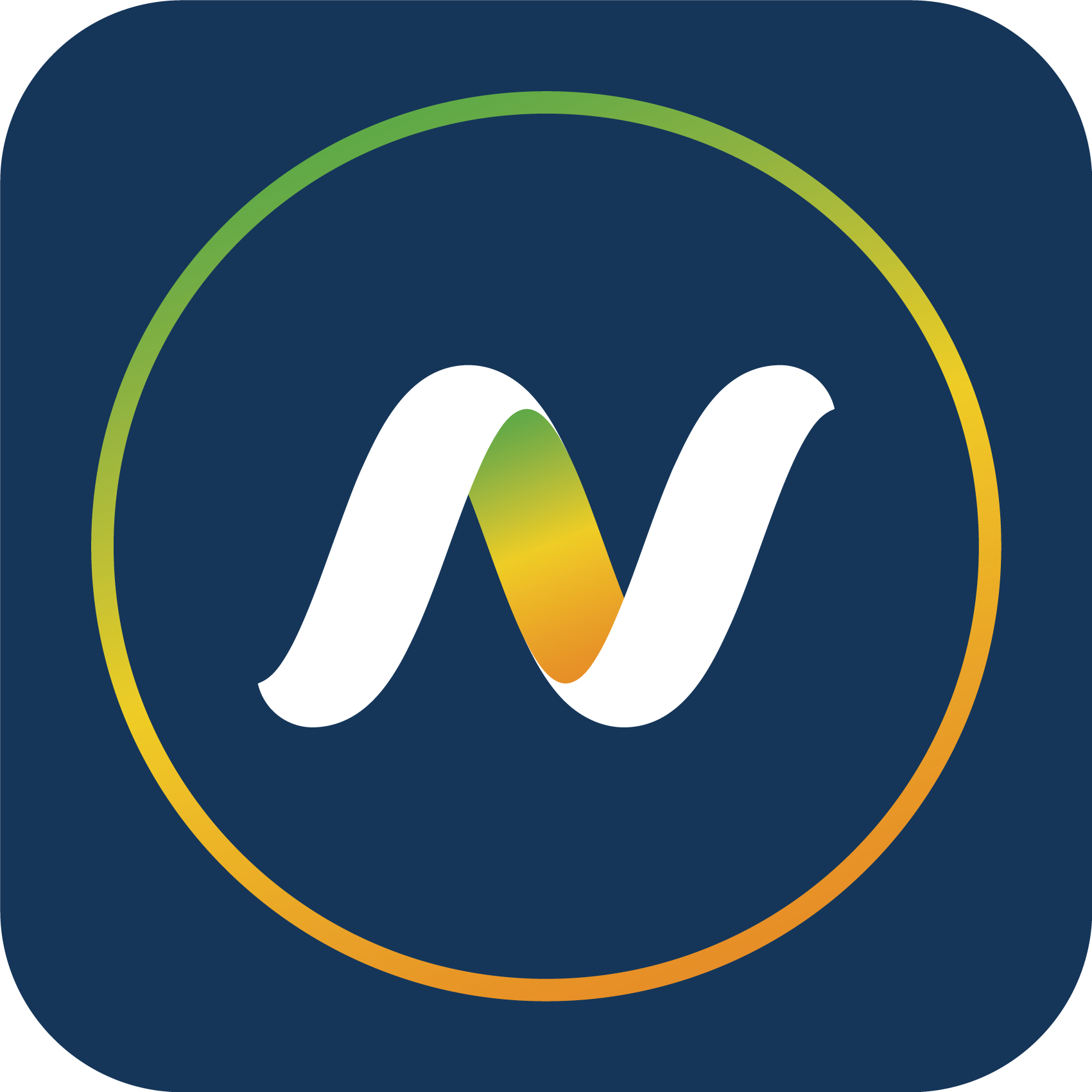N_logo_.png