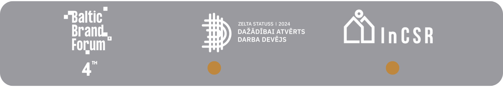 WEB lapai mazā informācija (1).png