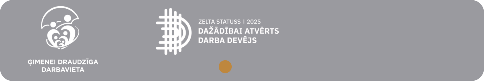 WEB lapai mazā informācija (1).png